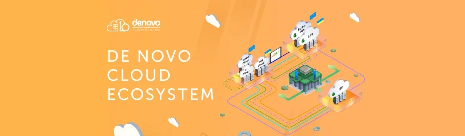 Облачная экосистема De Novo как услуга для клиентов с любым типом потребностей